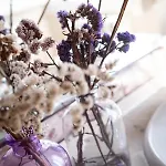 Rural Quinta Do Juncal * Serra d'El-Rei