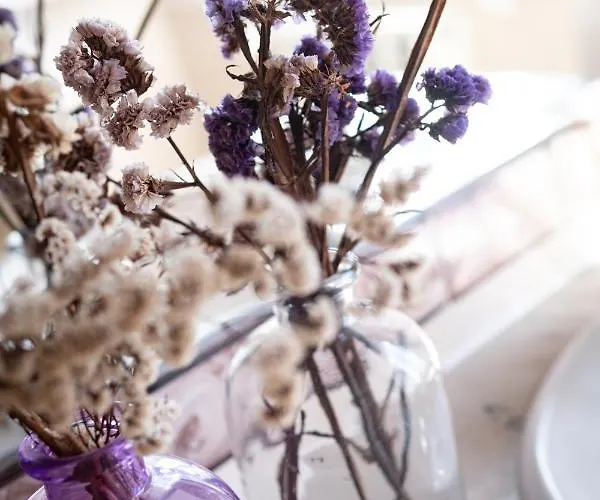 Rural Quinta Do Juncal * Serra d'El-Rei